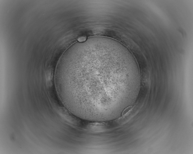 X0000112780082200908271713