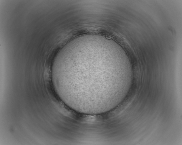 X0000112780083200908271713