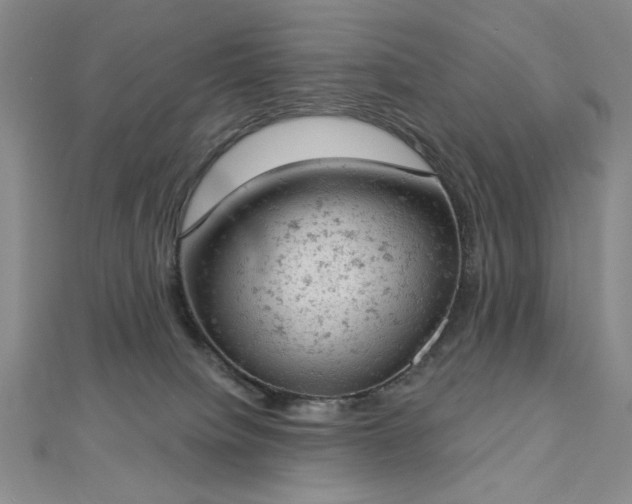 X0000112780084200908271713