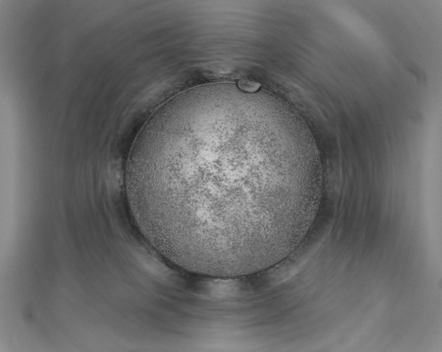 X0000112780085200908271713