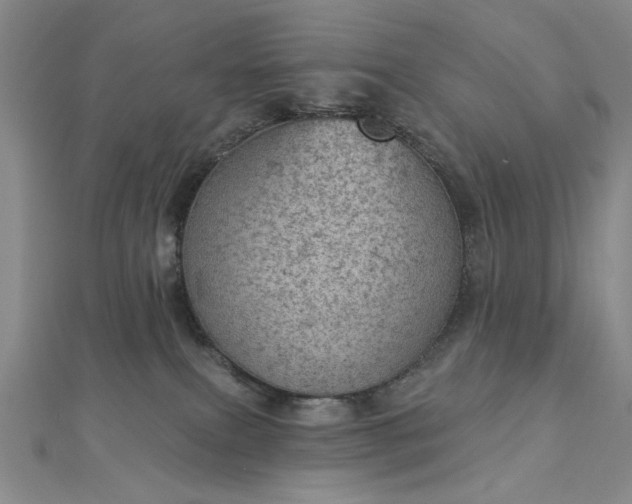 X0000112780087200908271713