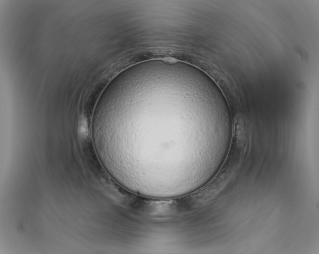 X0000112780089200908271713