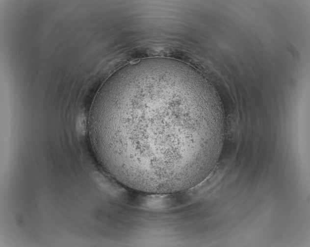 X0000112780090200908271713