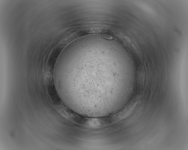 X0000112780091200908271713