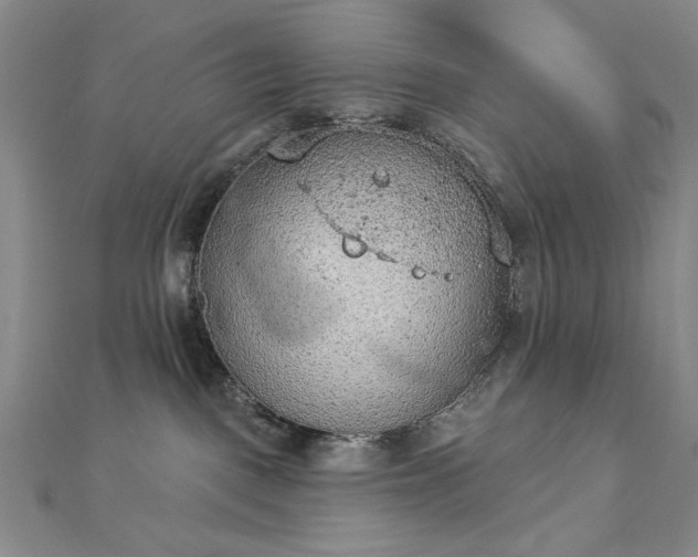 X0000112780093200908271713