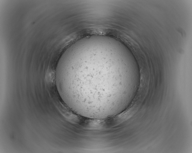 X0000112780096200908271713