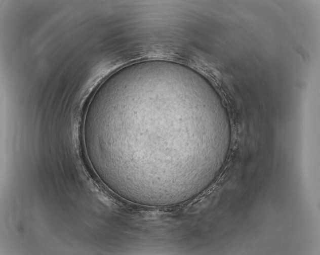 X0000112780098200908271712