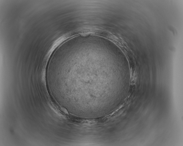 X0000112780099200908271712