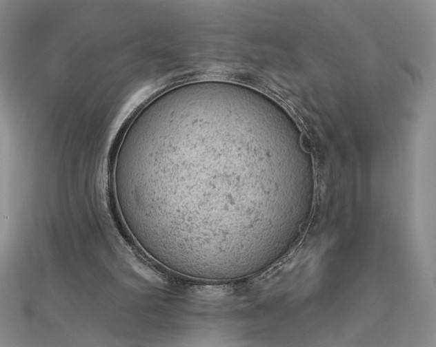 X0000112780102200908271712