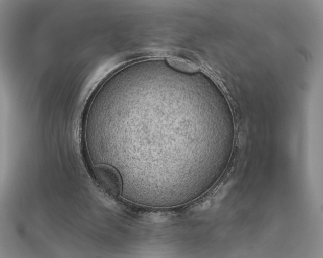 X0000112780103200908271712