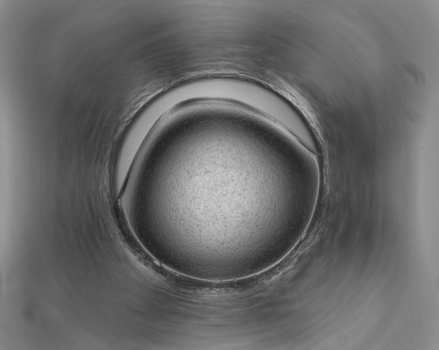 X0000112780105200908271712