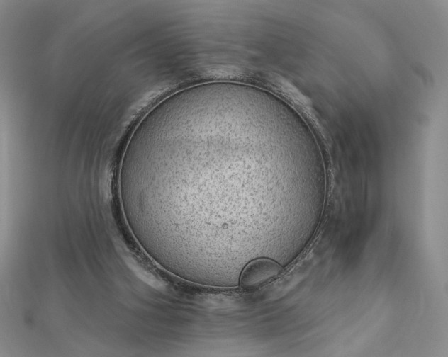 X0000112780106200908271712