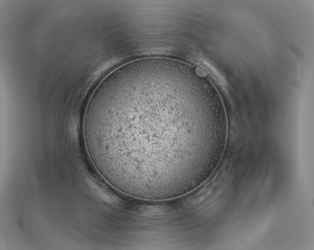 X0000112780107200908271712