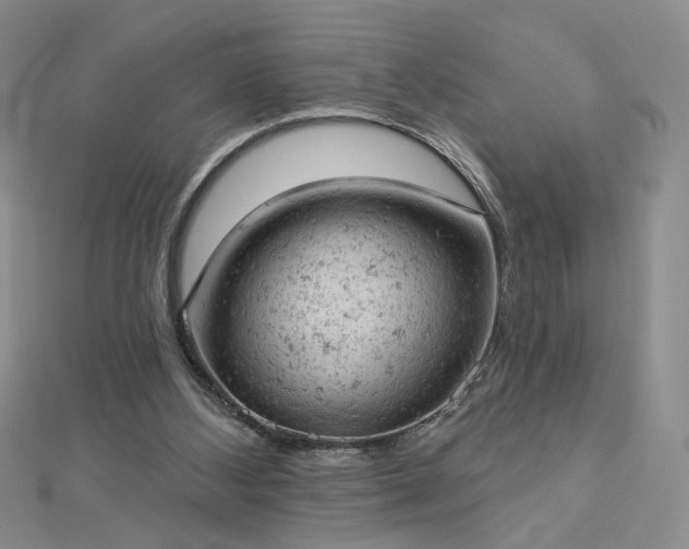 X0000112780108200908271712