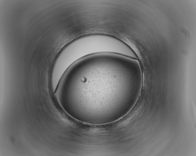 X0000112780109200908271712