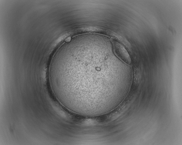 X0000112780111200908271712