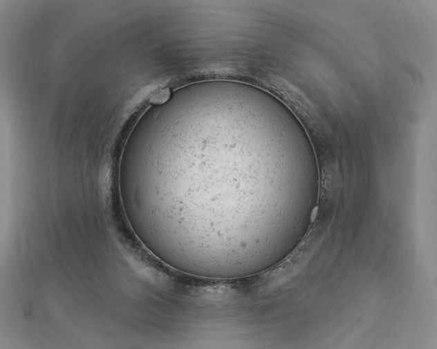 X0000112780112200908271712