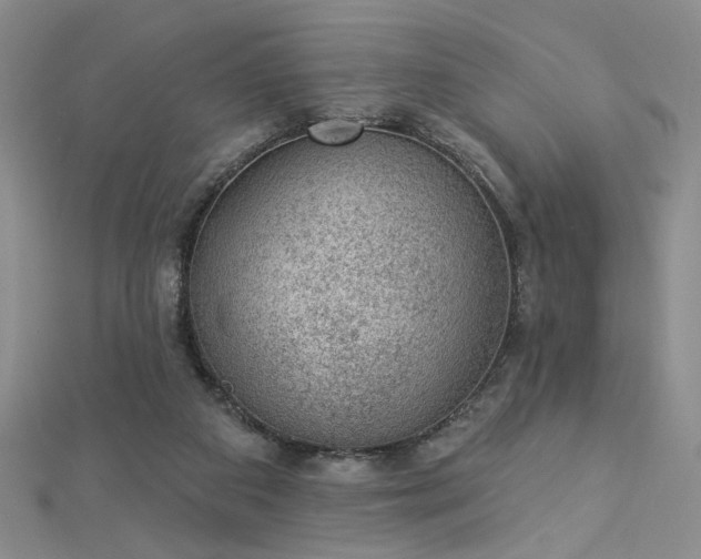 X0000112780113200908271712