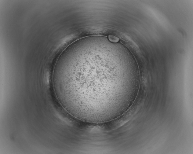 X0000112780115200908271712