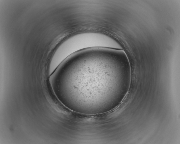 X0000112780116200908271712