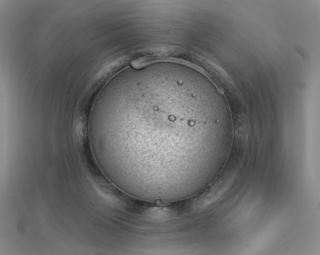 X0000112780119200908271712