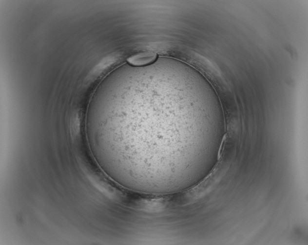 X0000112780120200908271712