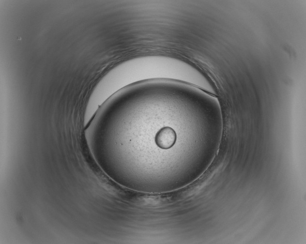 X0000112780121200908271712