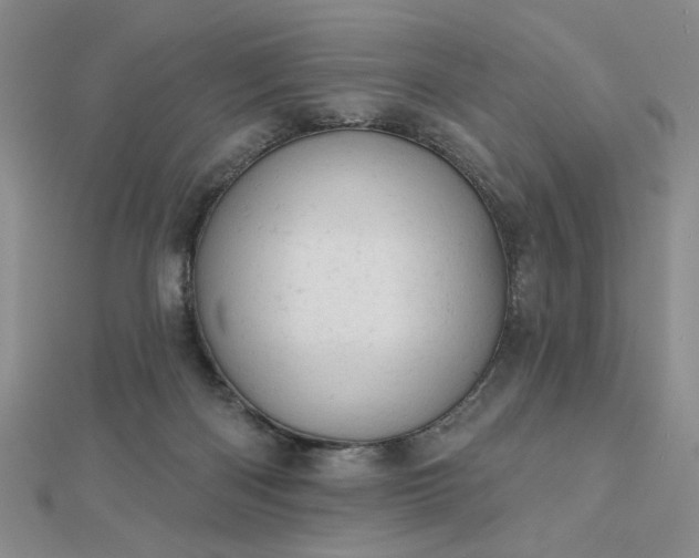 X0000112780122200908271712