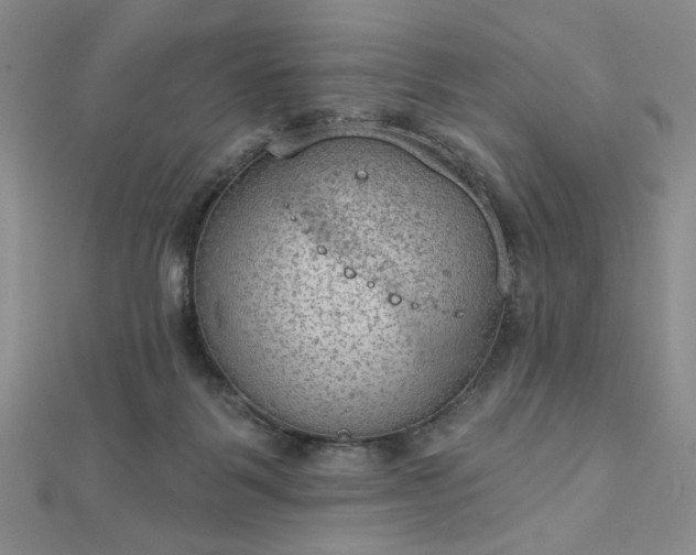 X0000112780123200908271712