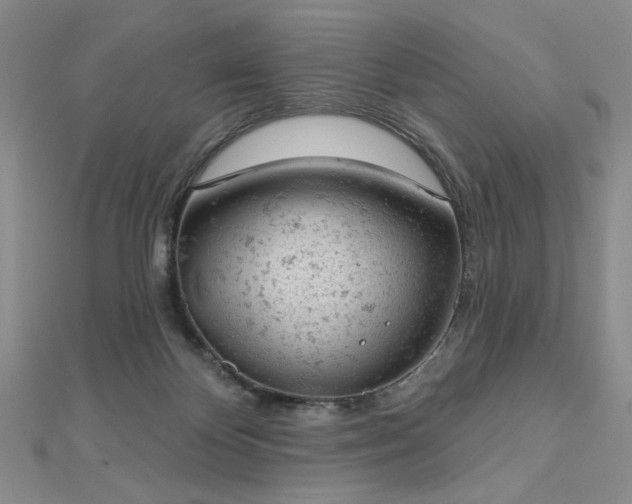 X0000112780124200908271712