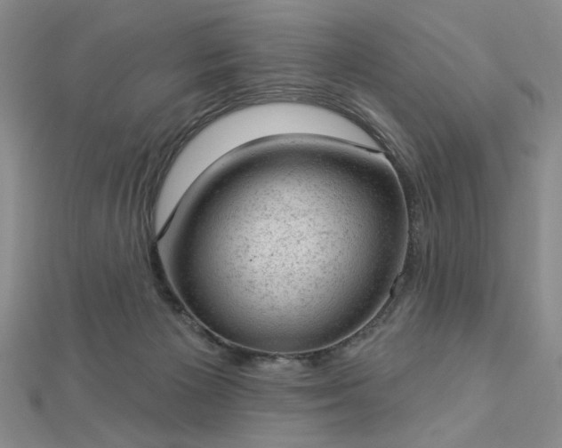 X0000112780125200908271712