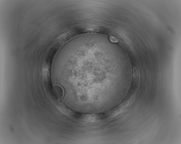 X0000112780127200908271712