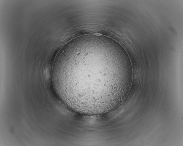 X0000112780131200908271712