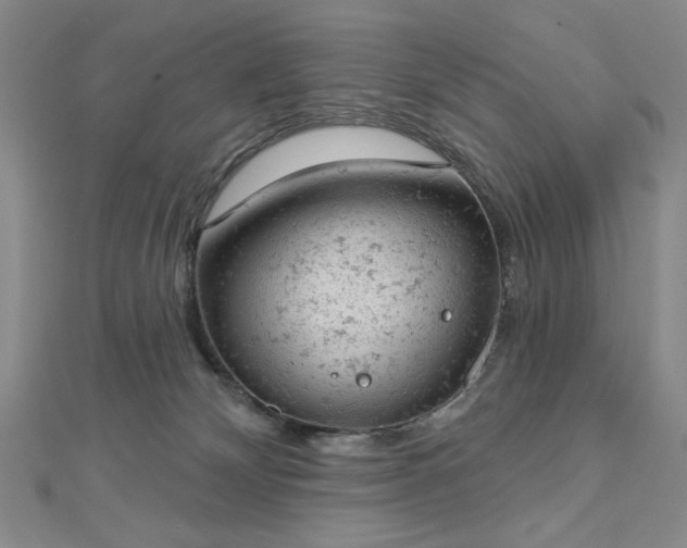 X0000112780132200908271712