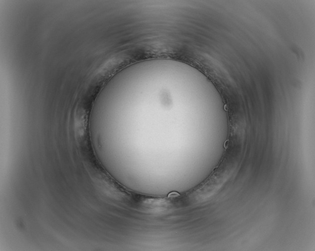 X0000112780133200908271712