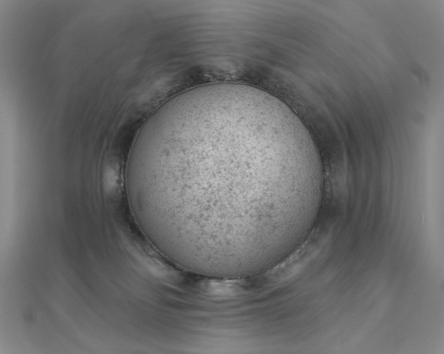 X0000112780134200908271712