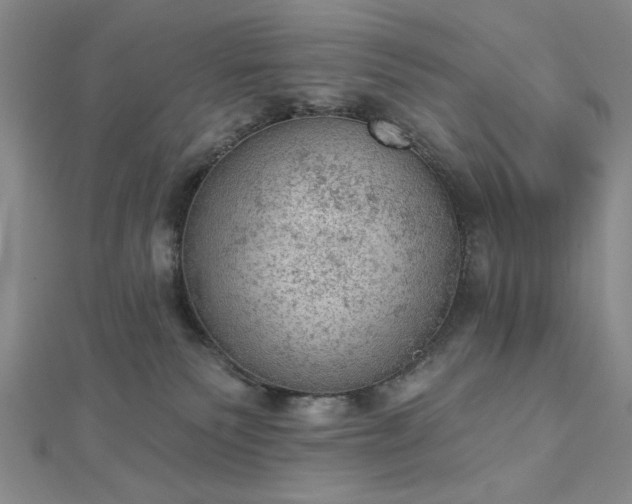 X0000112780135200908271712