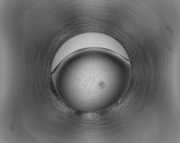 X0000112780137200908271712