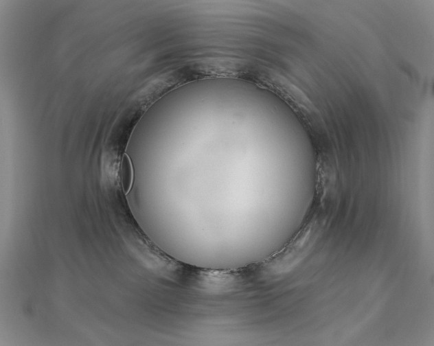 X0000112780141200908271711