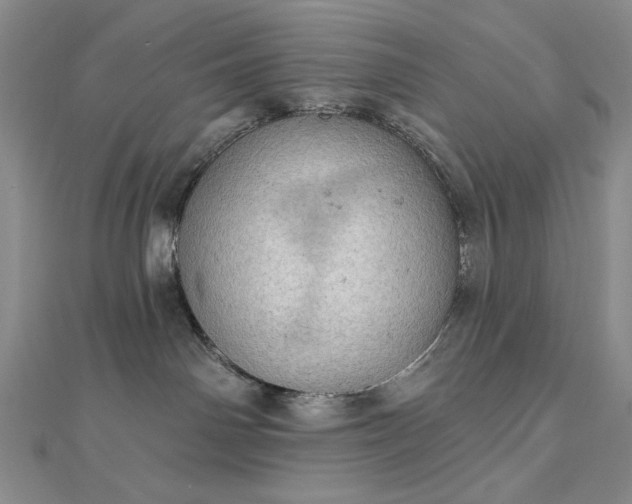 X0000112780142200908271711