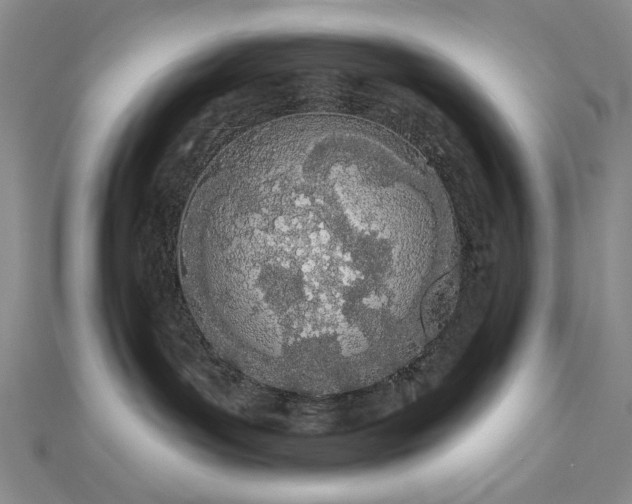 X0000112780143200908271711