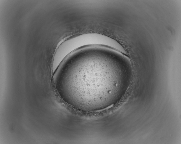 X0000112780144200908271711