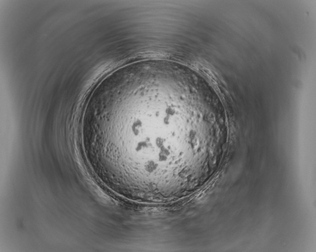 X0000112780145200908271711