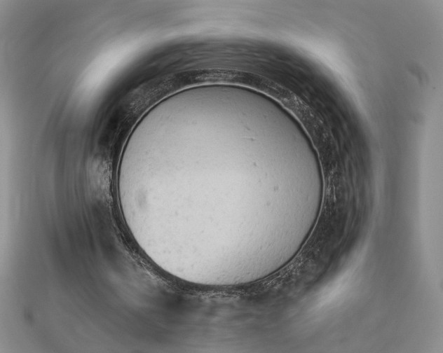 X0000112780146200908271711