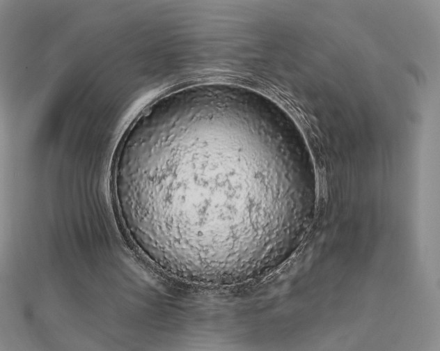 X0000112780147200908271711