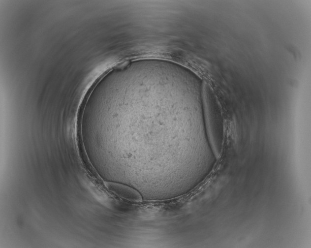 X0000112780148200908271711