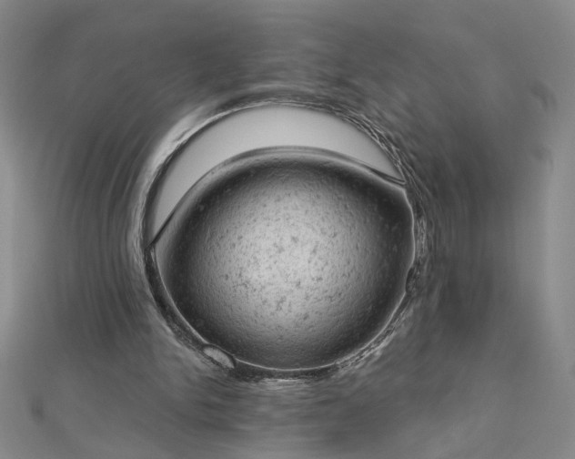 X0000112780150200908271711