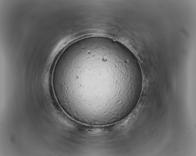 X0000112780151200908271711