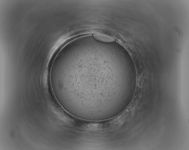 X0000112780152200908271711