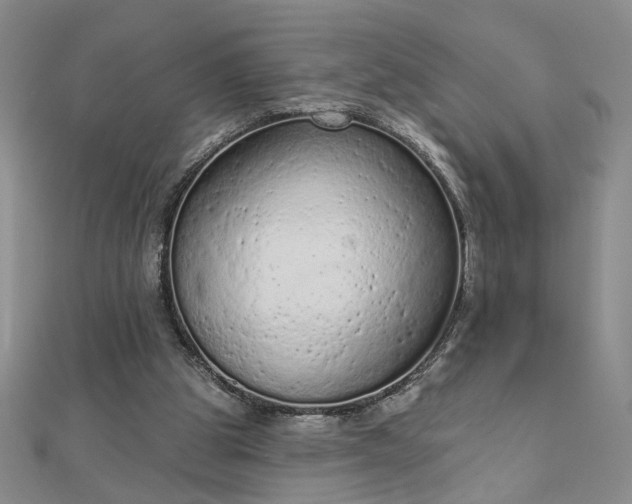 X0000112780153200908271711